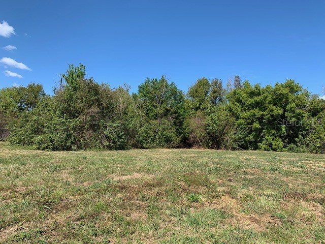 1290 Cinder Lane Kissimmee FL 34744 S5093500 image21