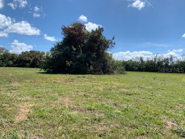 1290 Cinder Lane Kissimmee FL 34744 S5093500 image22