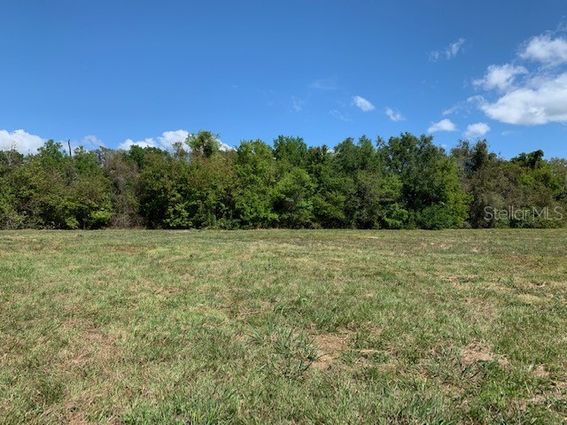 1290 Cinder Lane Kissimmee FL 34744 S5093500 image25