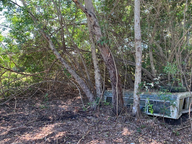 1290 Cinder Lane Kissimmee FL 34744 S5093500 image29