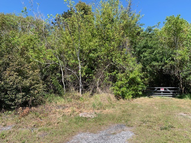 1290 Cinder Lane Kissimmee FL 34744 S5093500 image3