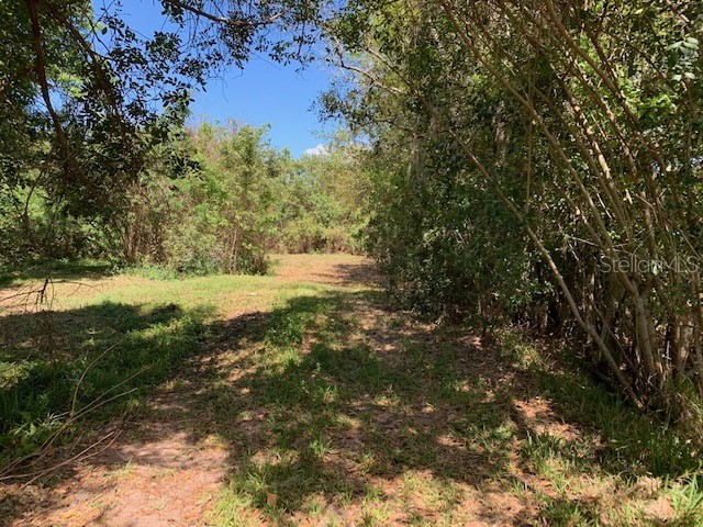 1290 Cinder Lane Kissimmee FL 34744 S5093500 image5