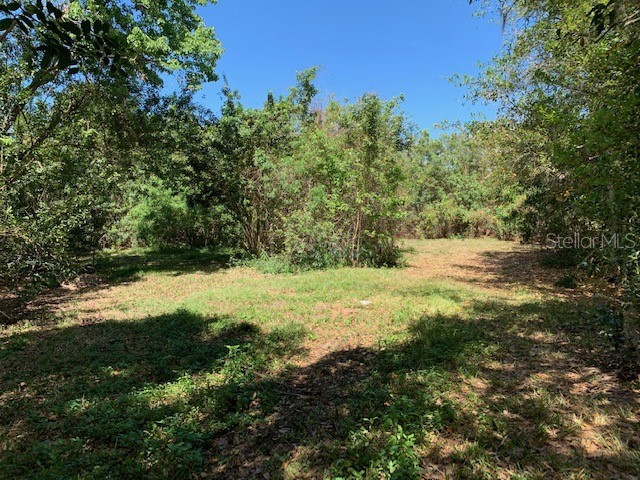 1290 Cinder Lane Kissimmee FL 34744 S5093500 image6