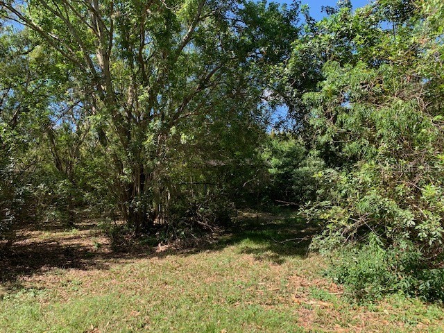 1290 Cinder Lane Kissimmee FL 34744 S5093500 image7