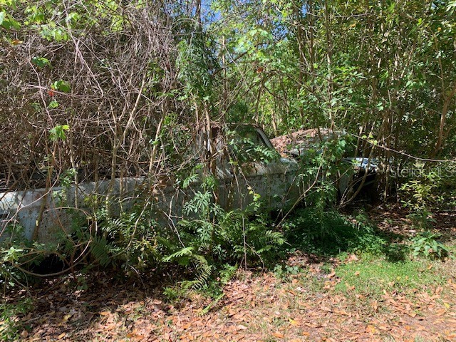 1290 Cinder Lane Kissimmee FL 34744 S5093500 image8