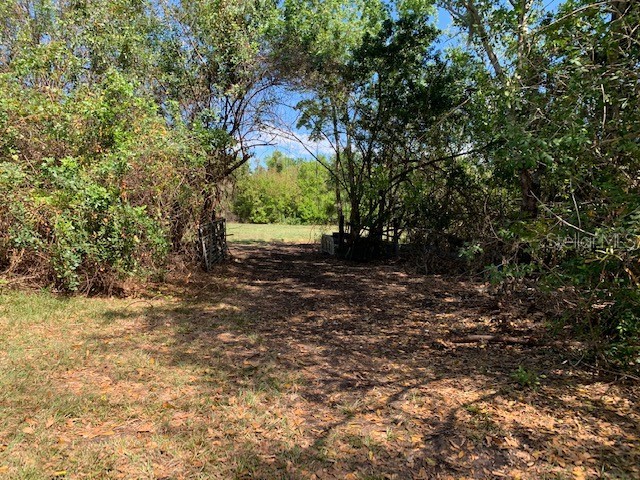 1290 Cinder Lane Kissimmee FL 34744 S5093500 image9