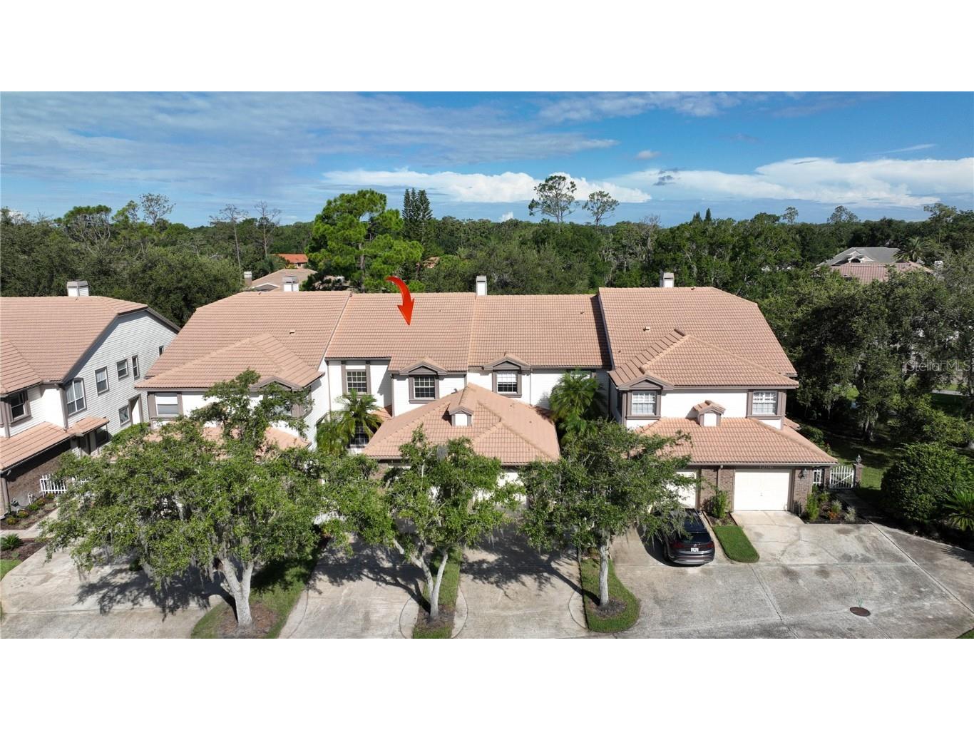 1290 Clays Trail Oldsmar FL 34677 TB8350546 image1