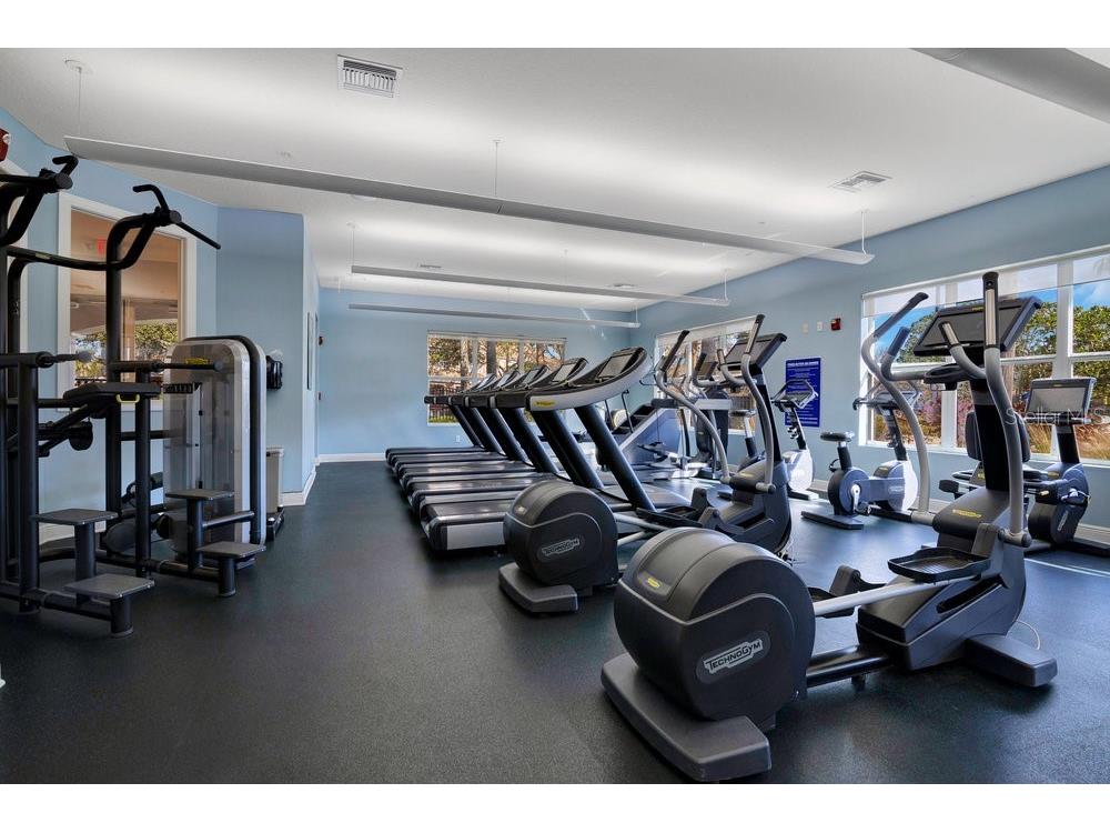 1290 Grady Lane #20232 Davenport FL 33896 O6396016 image28