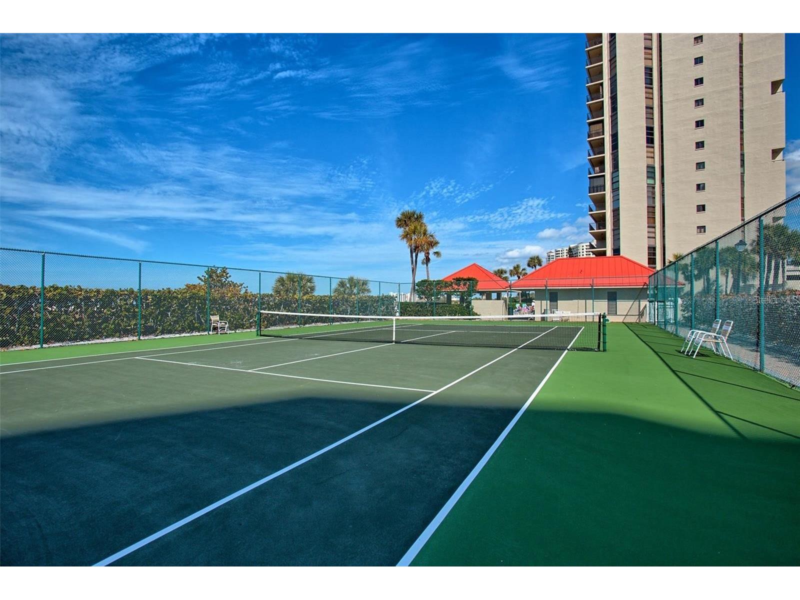 1290 Gulf Boulevard #1506 Clearwater Beach FL 33767 - GULF OF MEXICO TB8514916 image3
