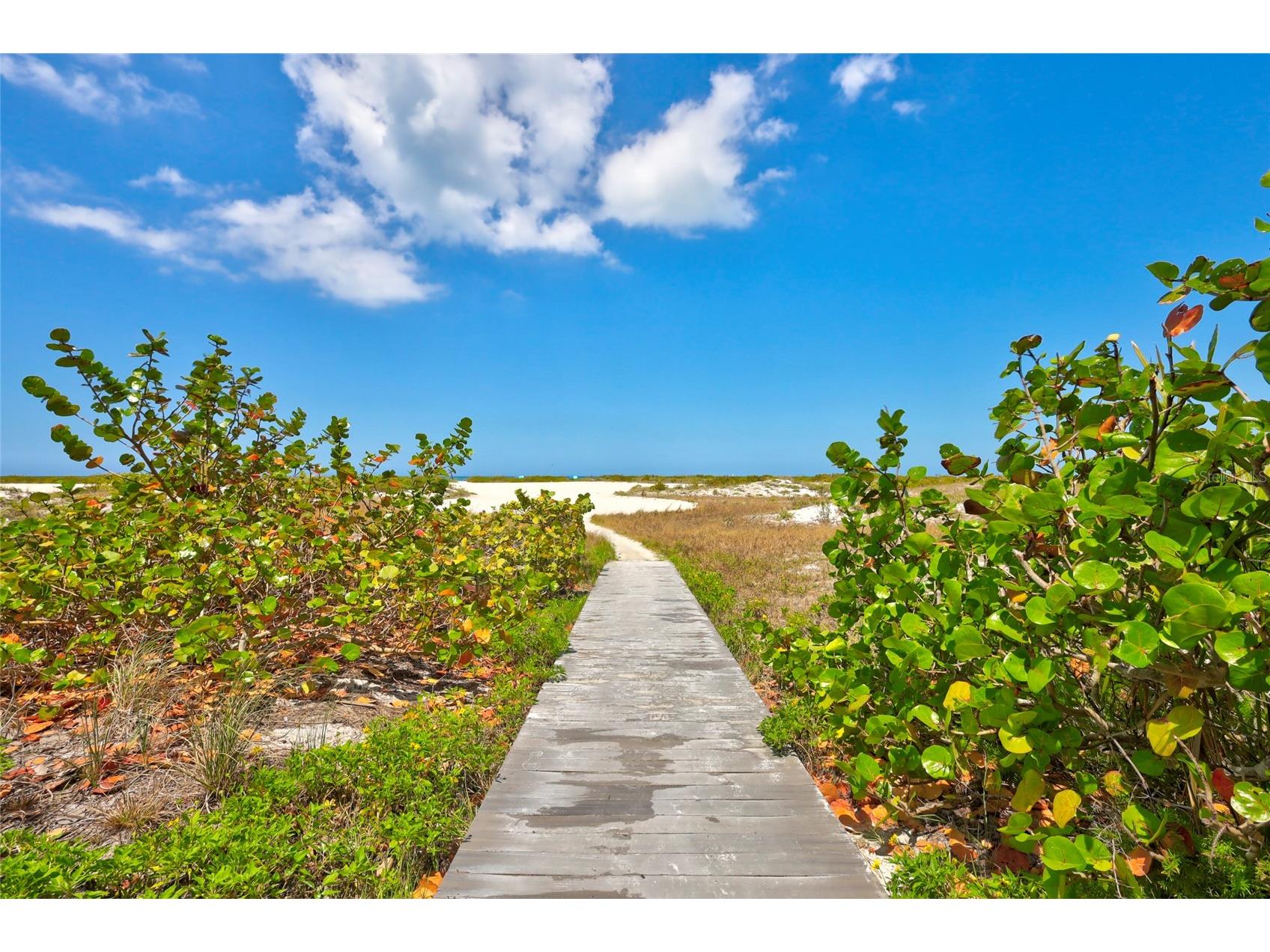 1290 Gulf Boulevard #1604 Clearwater Beach FL 33767 TB8504903 image8