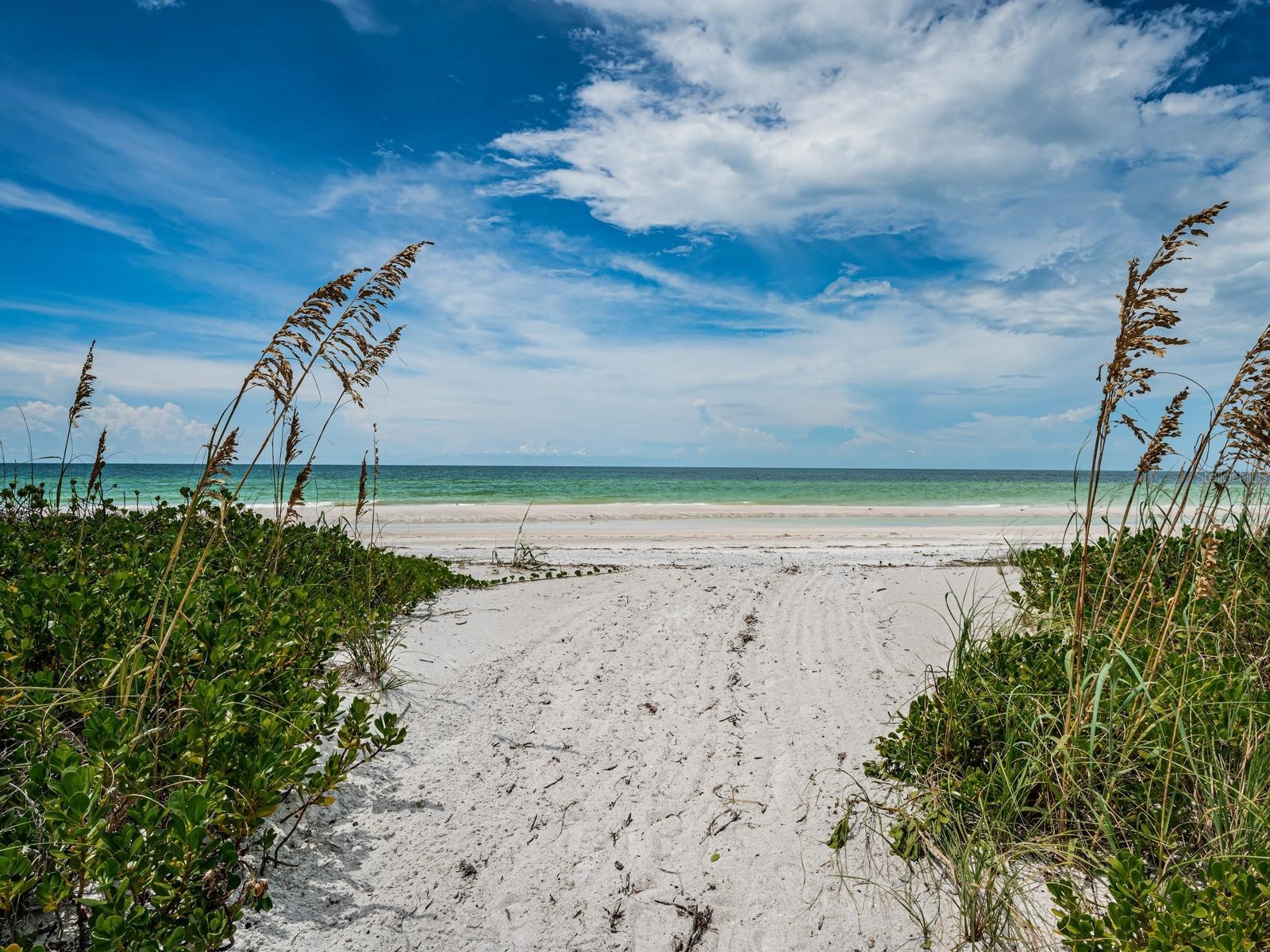 1290 Gulf Boulevard #2003 Clearwater Beach FL 33767 - GULF OF MEXICO INTRACOASTAL TB8511448 image27