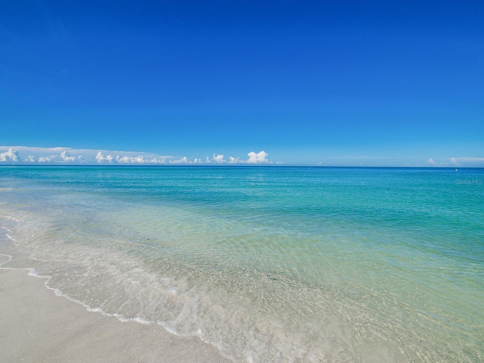 1290 Gulf Boulevard #2003 Clearwater Beach FL 33767 - GULF OF MEXICO INTRACOASTAL TB8511448 image28