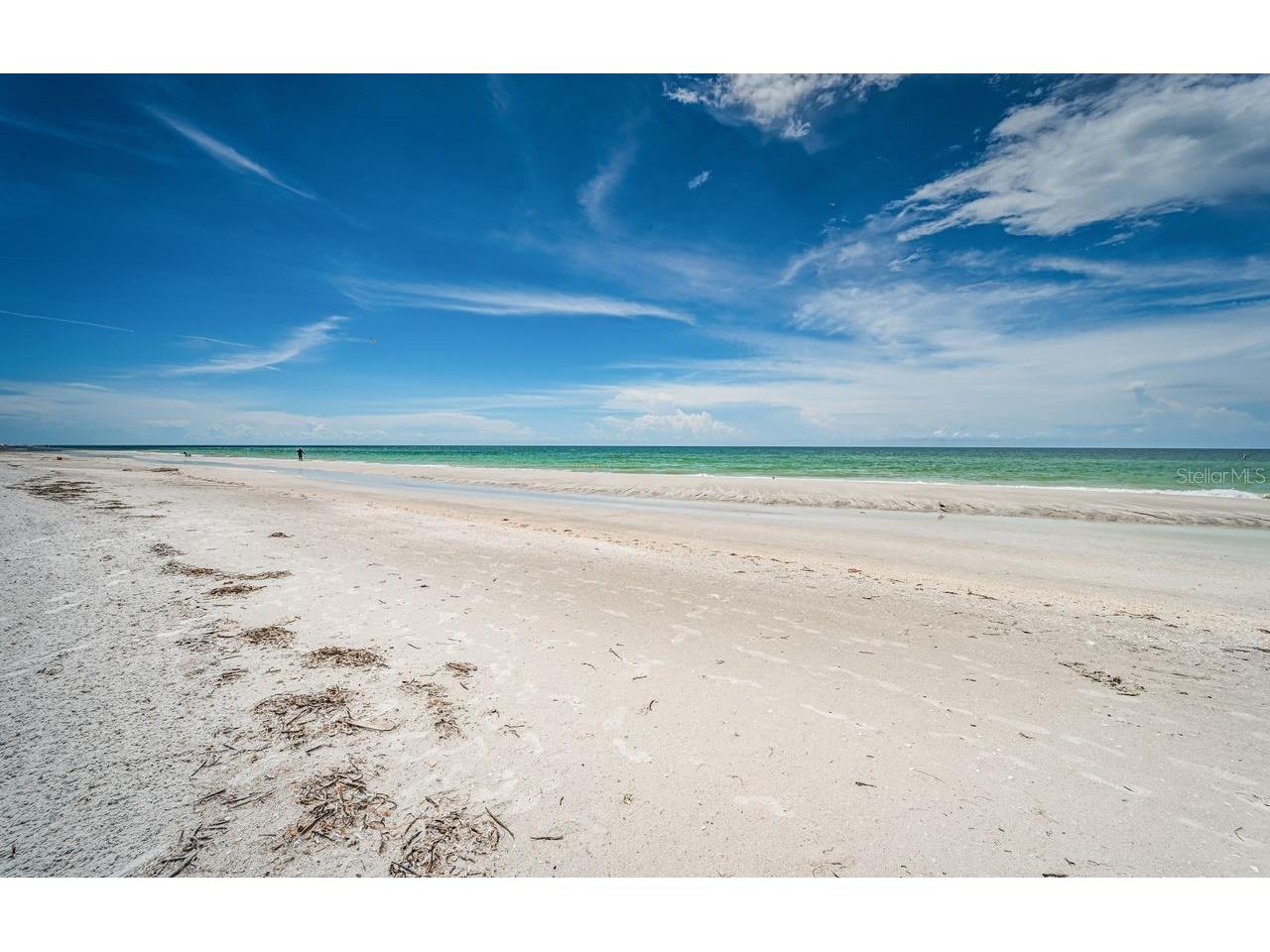 1290 Gulf Boulevard #2004 Clearwater Beach FL 33767 TB8494226 image27