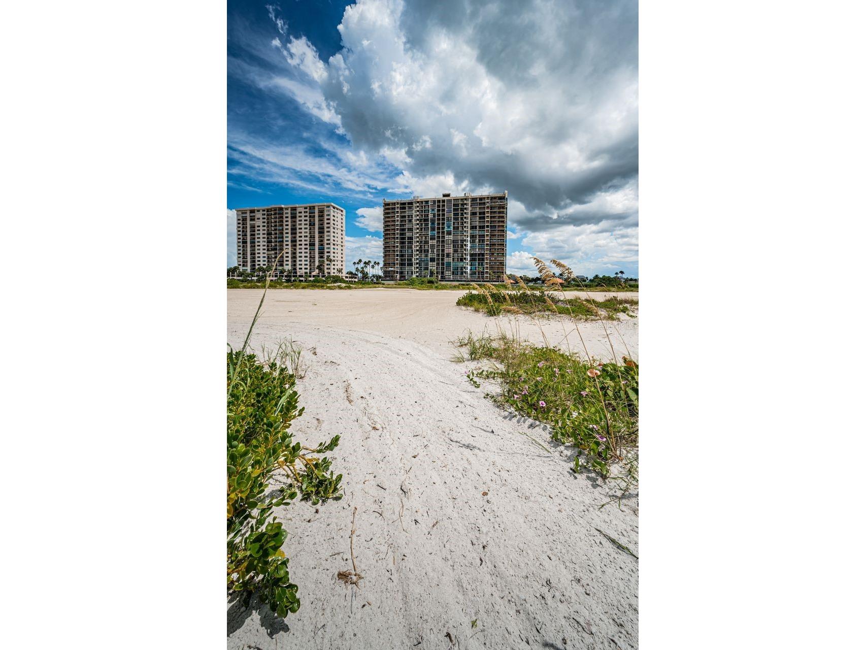 1290 Gulf Boulevard #2004 Clearwater Beach FL 33767 TB8494226 image81