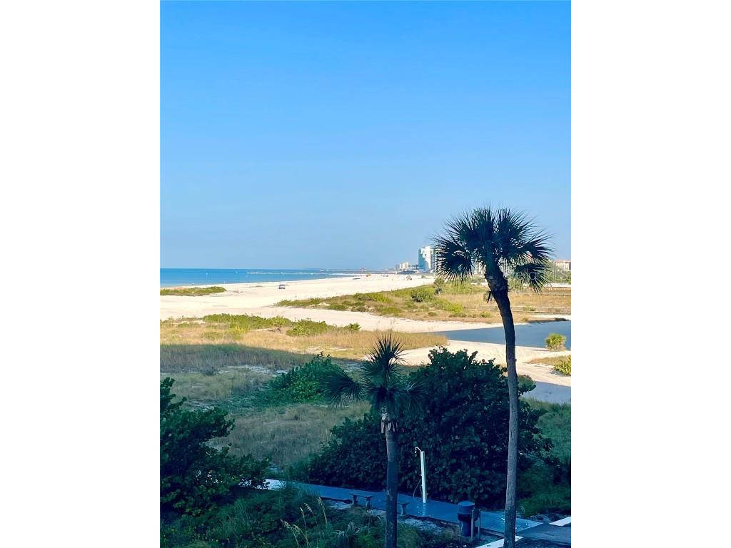 1290 Gulf Boulevard #302 Clearwater FL 33767 TB8449397 image22