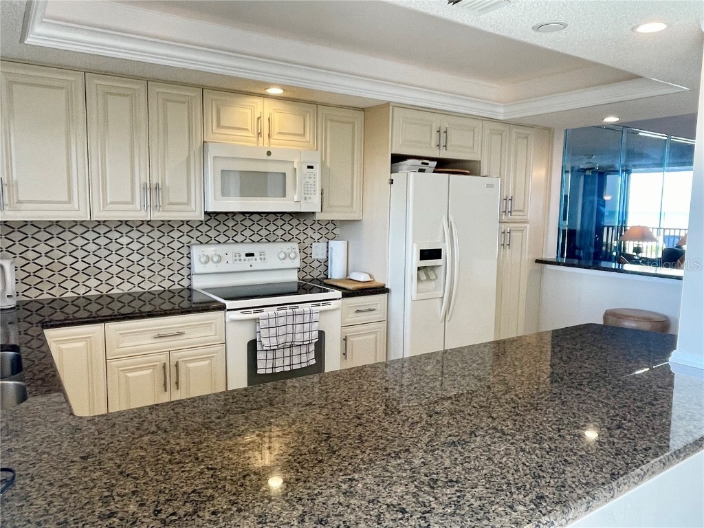 1290 Gulf Boulevard #302 Clearwater FL 33767 TB8449397 image5