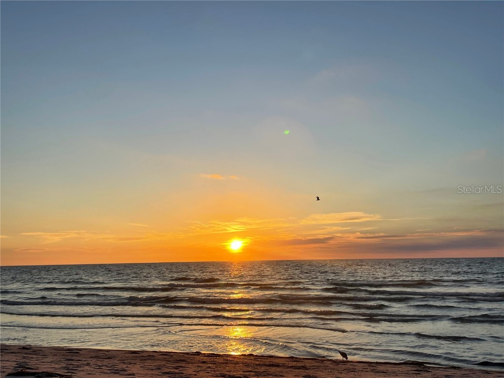 1290 Gulf Boulevard #307 Clearwater FL 33767 - GULF OF MEXICO SAND KEY BEACH TB8429528 image27