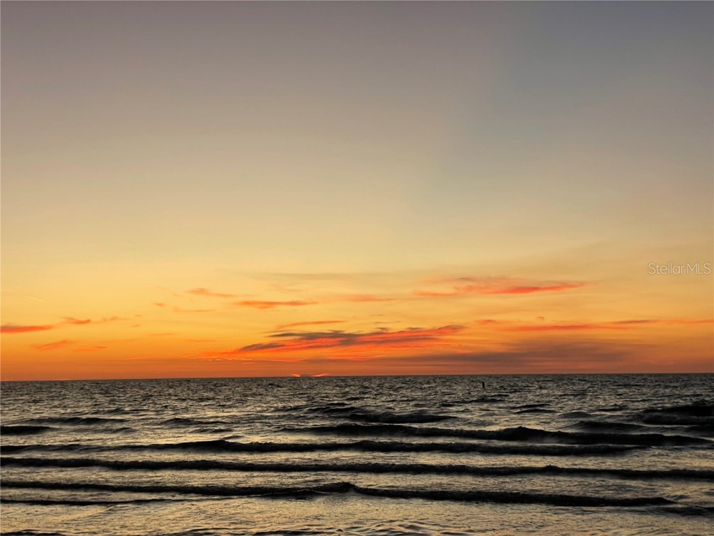 1290 Gulf Boulevard #307 Clearwater FL 33767 - GULF OF MEXICO SAND KEY BEACH TB8429528 image28