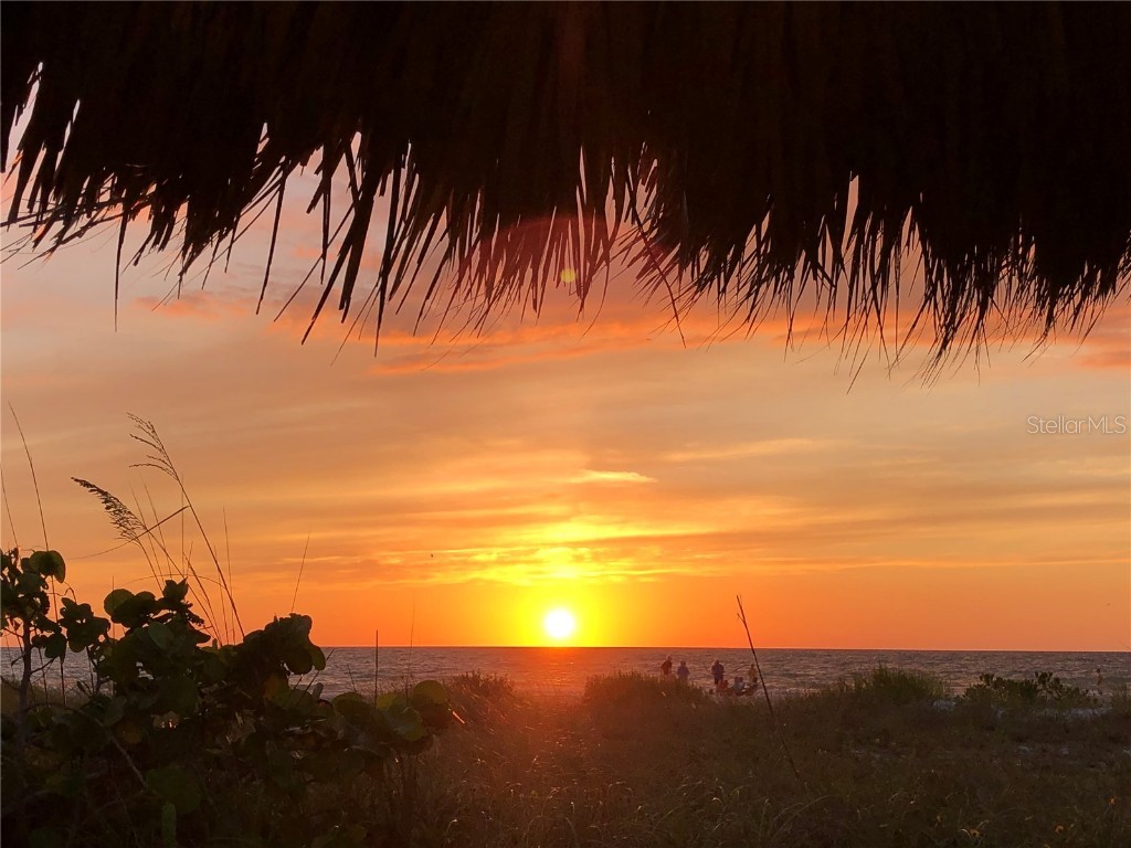 1290 Gulf Boulevard #901 Clearwater FL 33767 - GULF OF MEXICO U8228605 image35