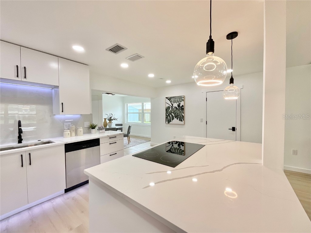 1290 Michigan Boulevard Dunedin FL 34698 TB8389154 image3