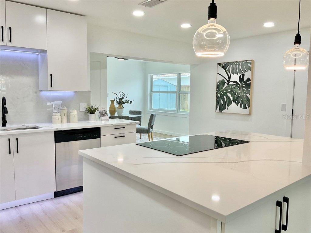 1290 Michigan Boulevard Dunedin FL 34698 TB8389154 image8