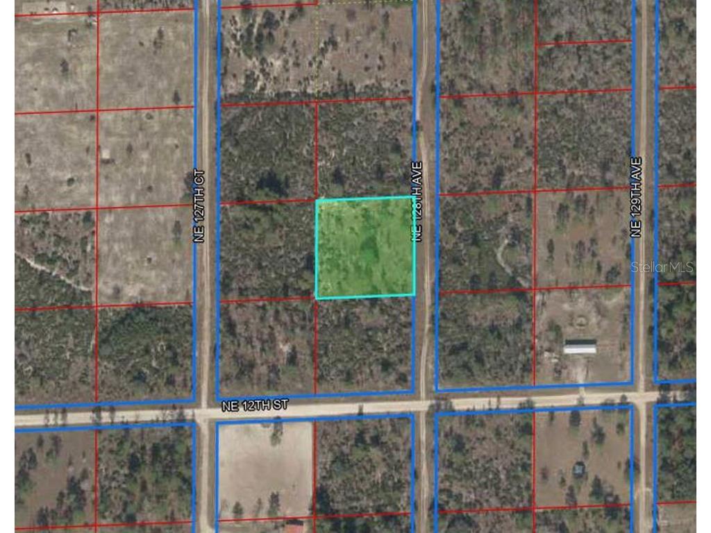 1290 NE 128th Avenue Williston FL 32696 OM658244 image1
