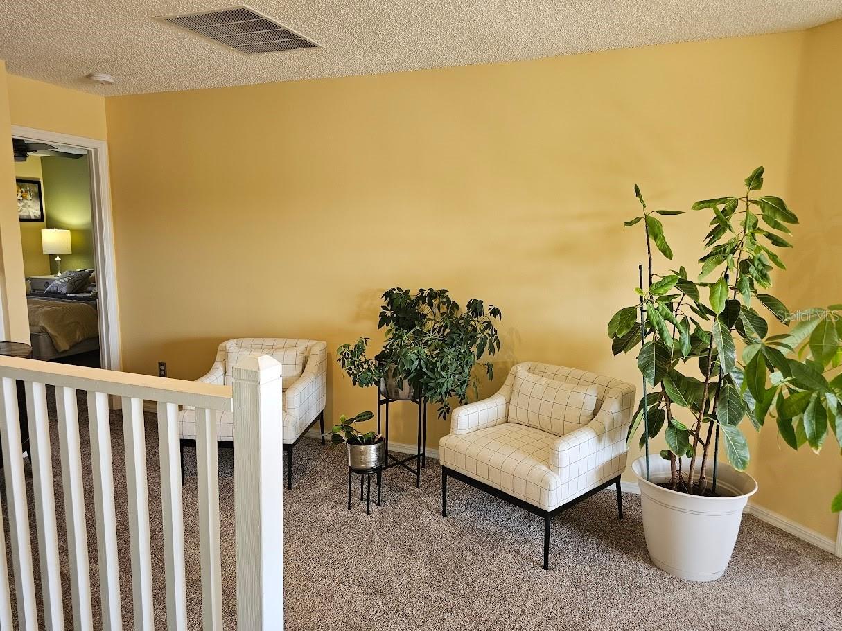 1290 Seasons Boulevard Kissimmee FL 34746 O6399764 image20