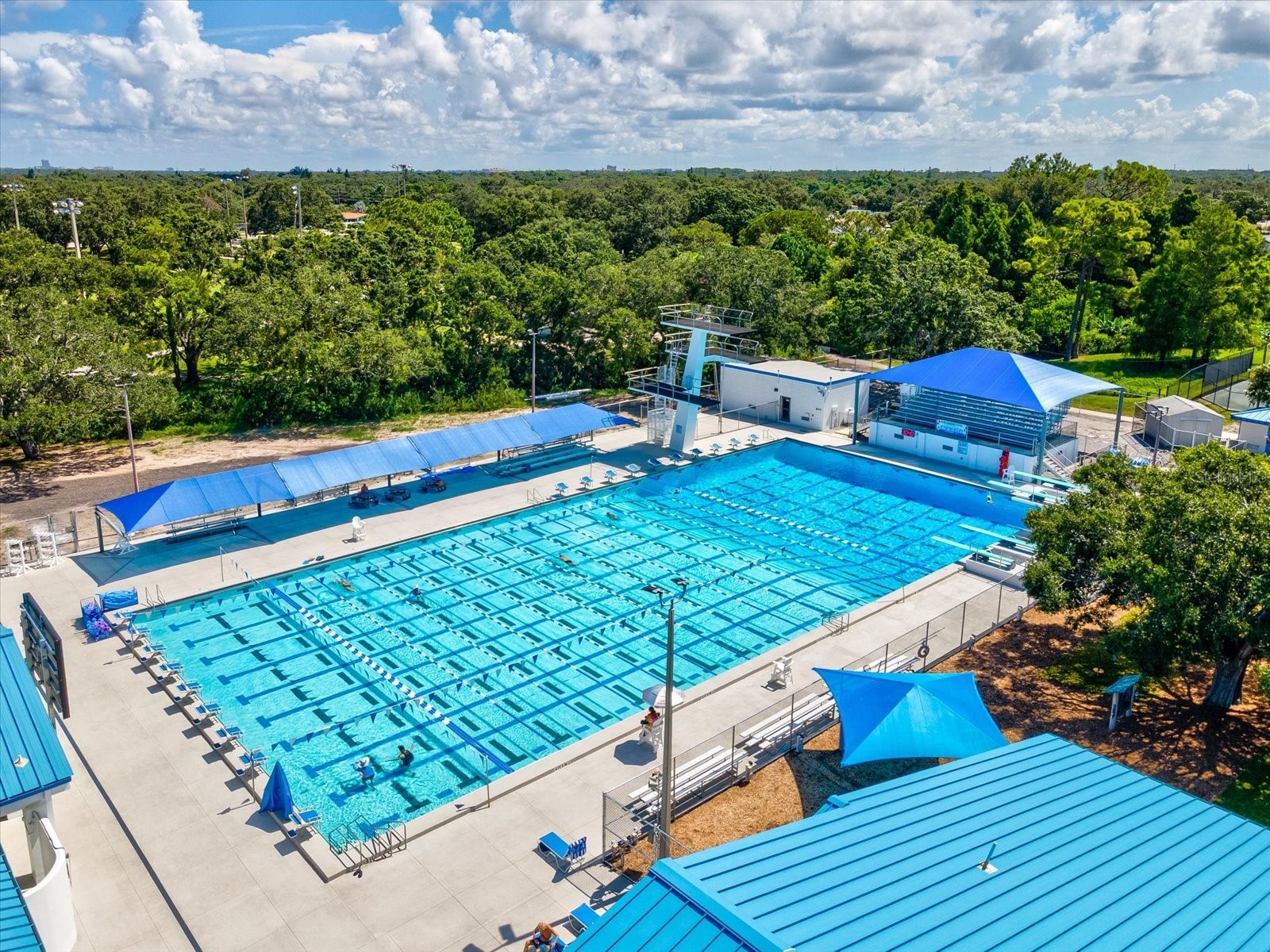 12900 Vonn Road #E203 Largo FL 33774 TB8416636 image24