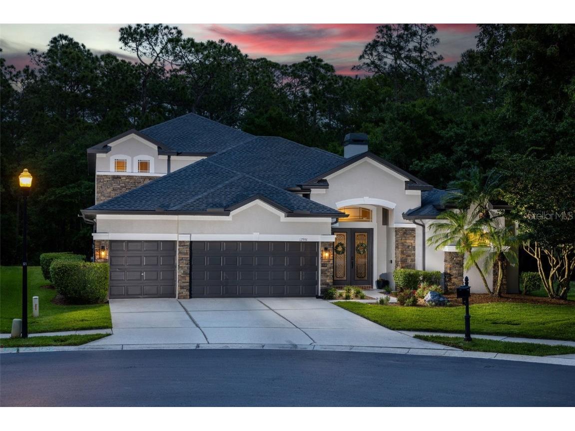 12901 Framingham Court Tampa FL 33626 T3517266 image1