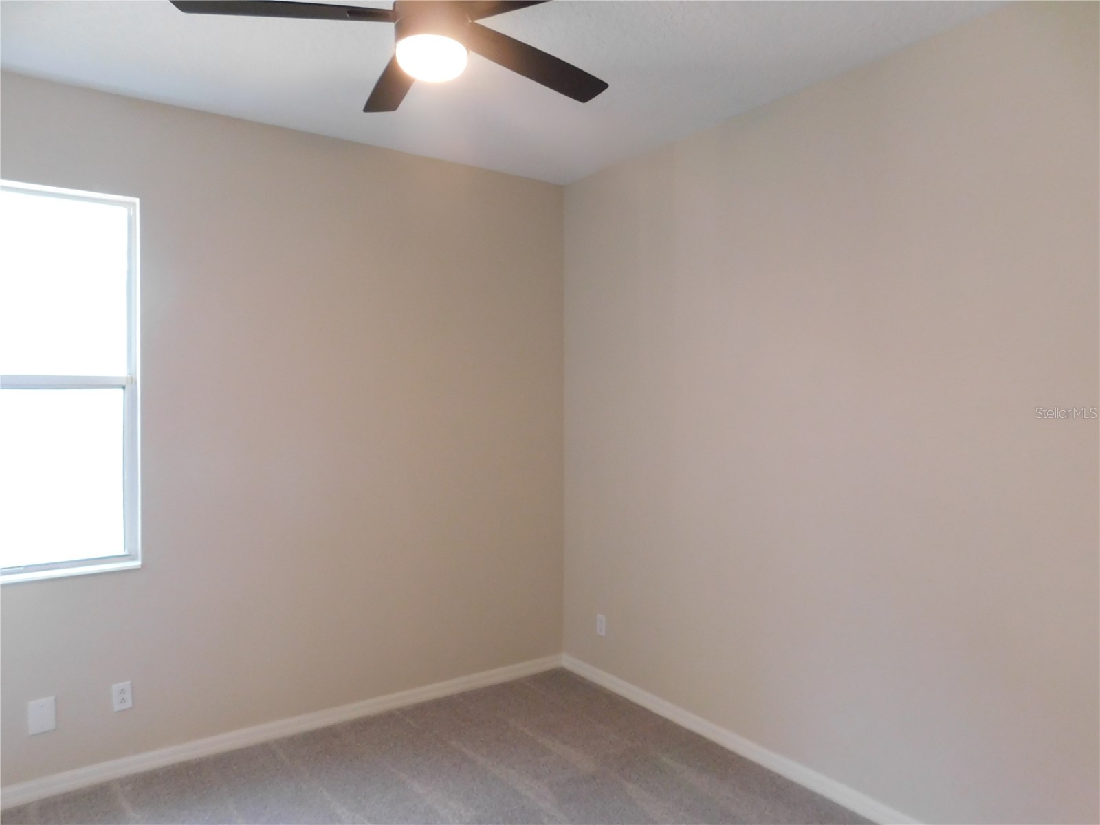 12902 Cattail Shore Lane Riverview FL 33579 TB8481497 image19