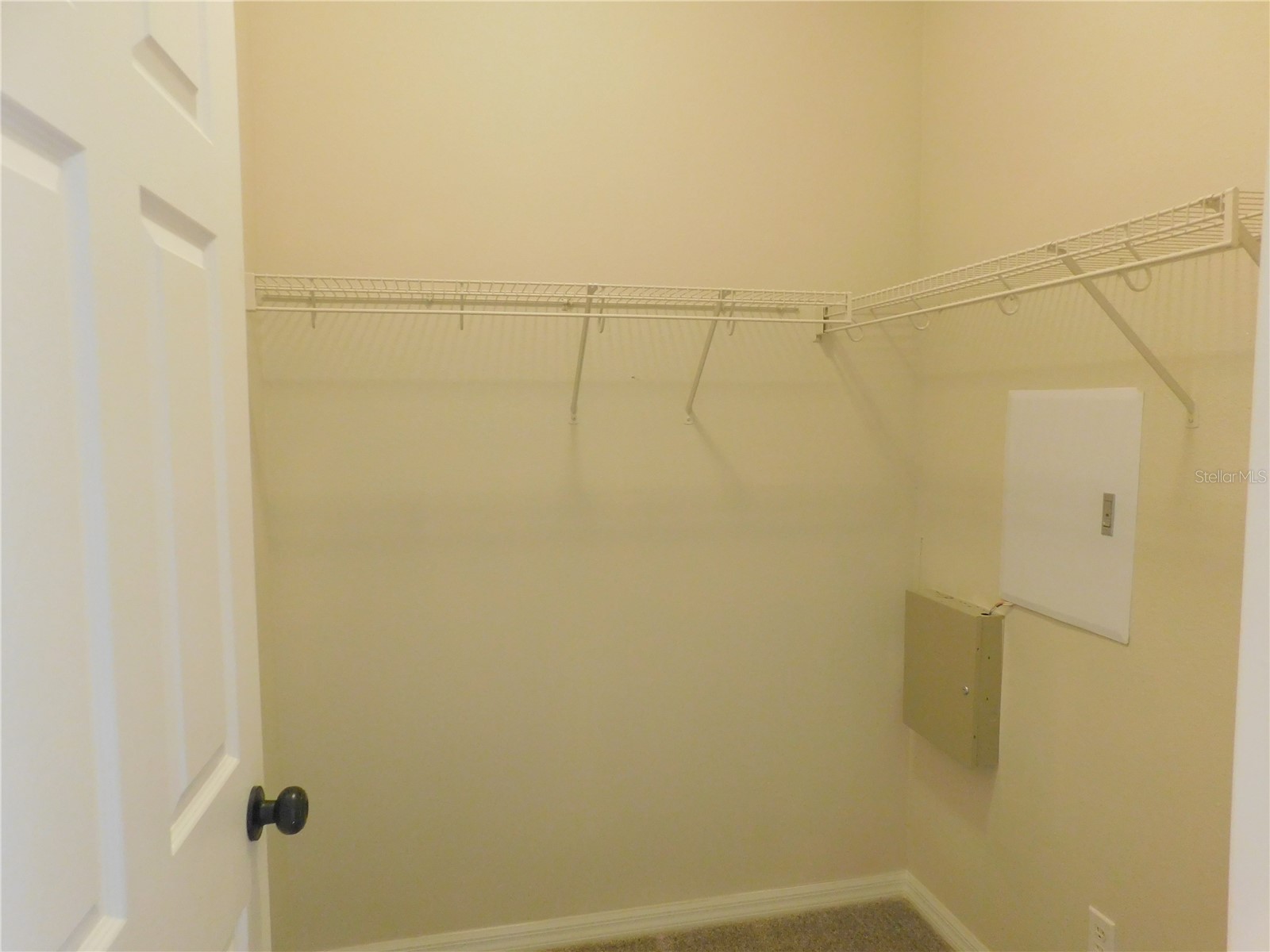 12902 Cattail Shore Lane Riverview FL 33579 TB8481497 image33