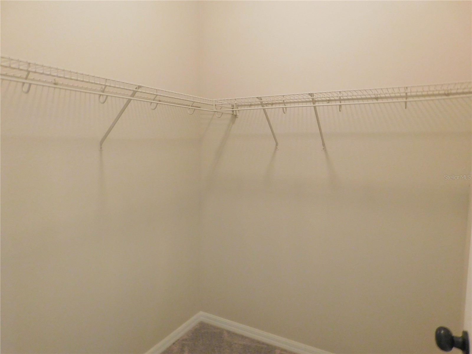 12902 Cattail Shore Lane Riverview FL 33579 TB8481497 image34