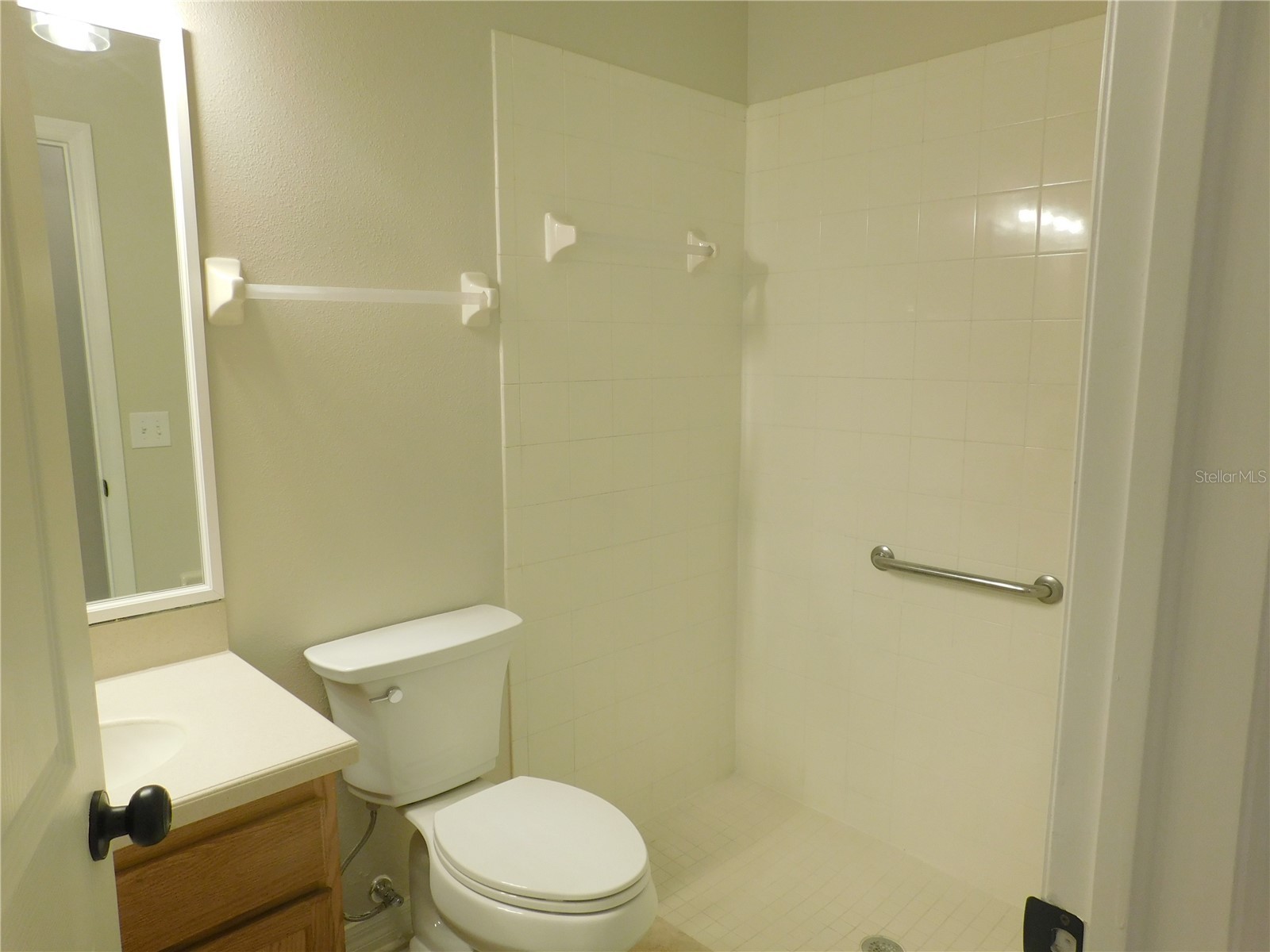 12902 Cattail Shore Lane Riverview FL 33579 TB8481497 image37