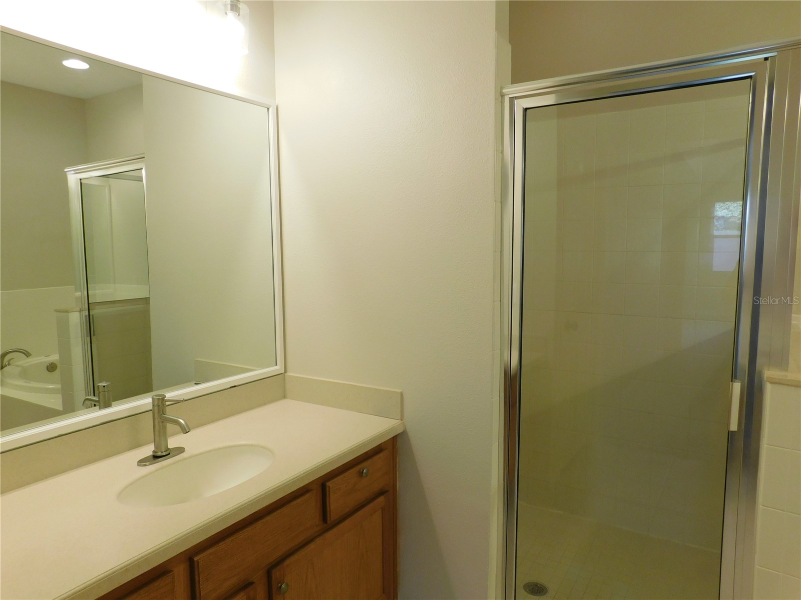 12902 Cattail Shore Lane Riverview FL 33579 TB8481497 image43