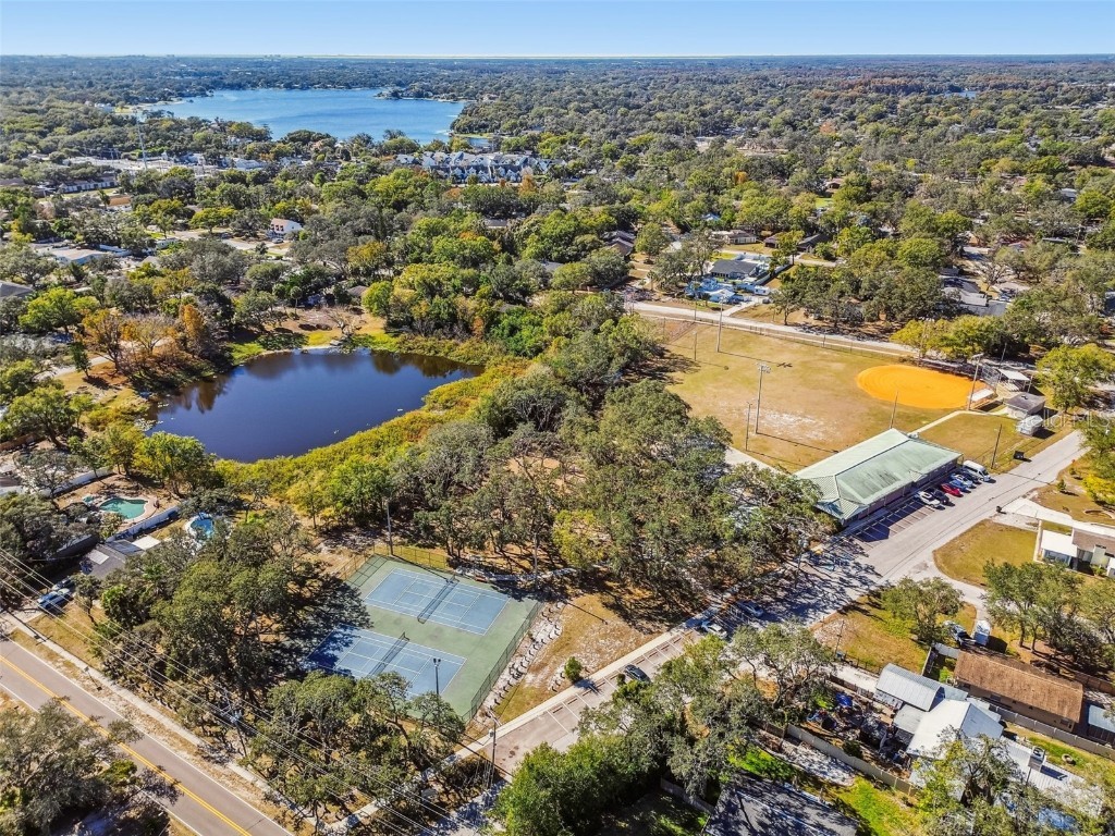 12902 N Howard Avenue Tampa FL 33612 - LAKE FLEUR DE LIS TB8457465 image46