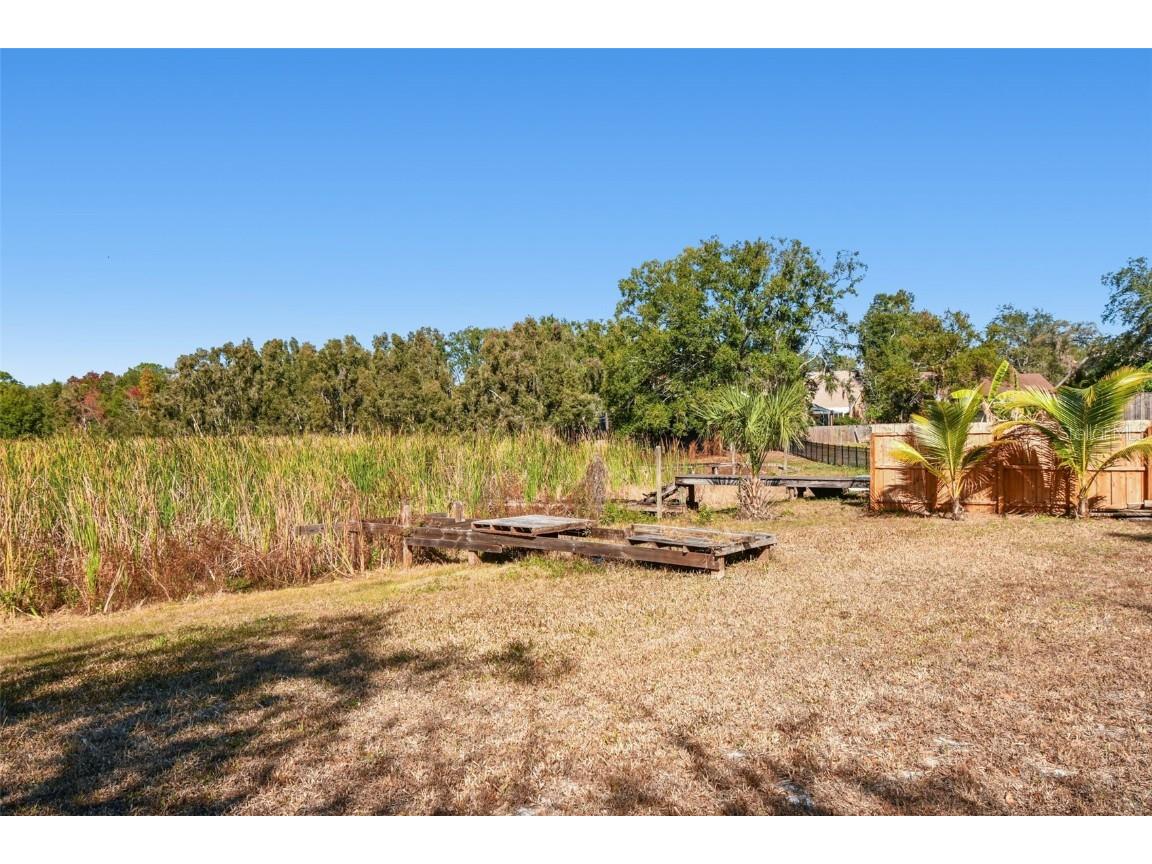 12902 N Howard Avenue Tampa FL 33612 - LAKE FLEUR DE LIS TB8457465 image62