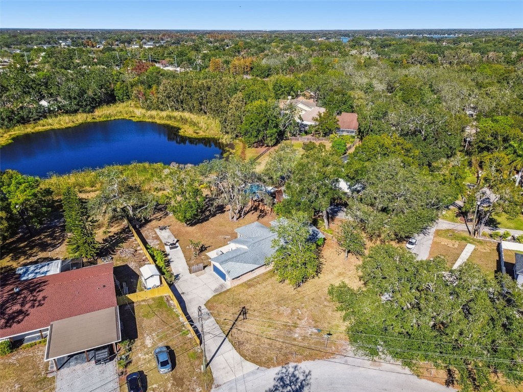 12902 N Howard Avenue Tampa FL 33612 - LAKE FLEUR DE LIS TB8457465 image75