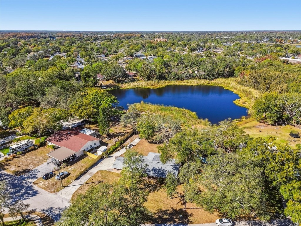 12902 N Howard Avenue Tampa FL 33612 - LAKE FLEUR DE LIS TB8457465 image77