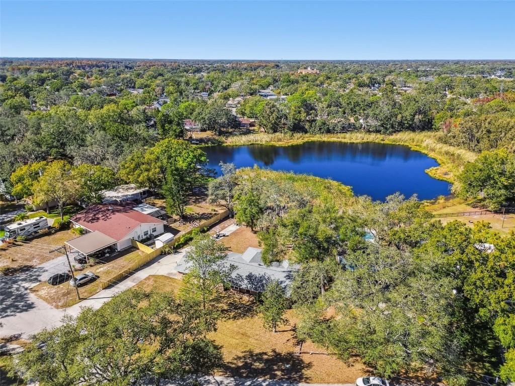 12902 N Howard Avenue Tampa FL 33612 - LAKE FLEUR DE LIS TB8457465 image78