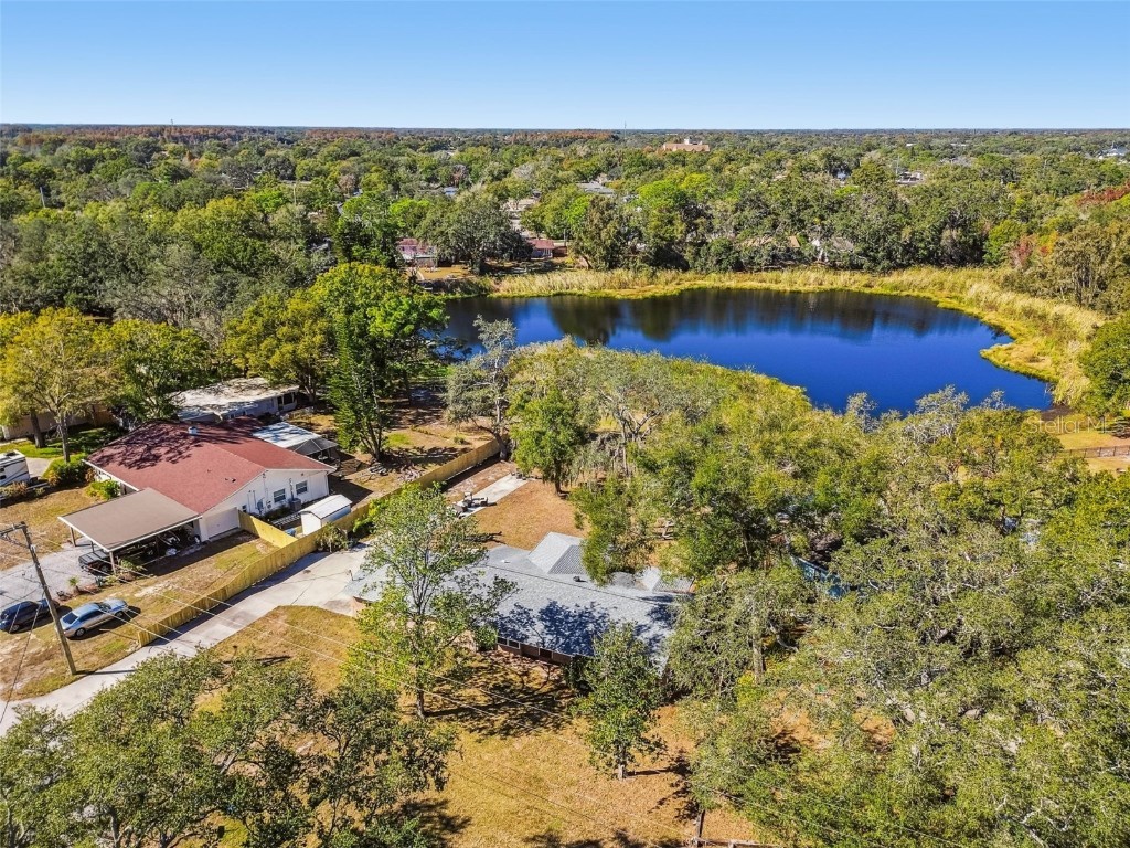 12902 N Howard Avenue Tampa FL 33612 - LAKE FLEUR DE LIS TB8457465 image79