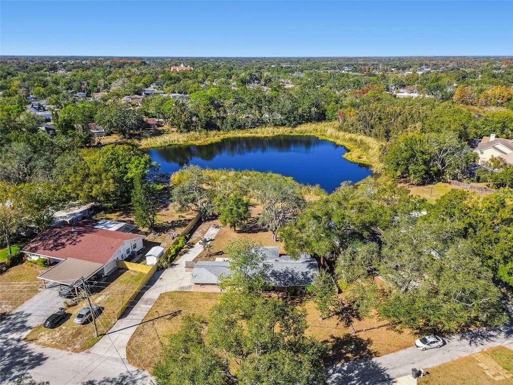 12902 N Howard Avenue Tampa FL 33612 - LAKE FLEUR DE LIS TB8457465 image80