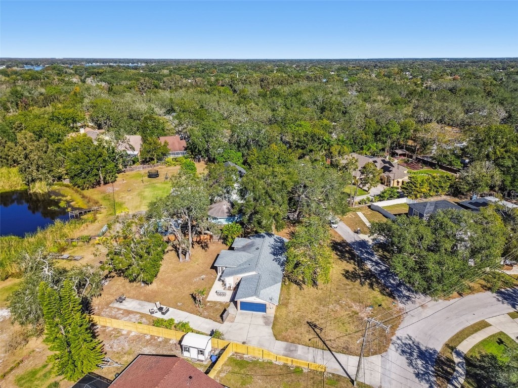 12902 N Howard Avenue Tampa FL 33612 - LAKE FLEUR DE LIS TB8457465 image81