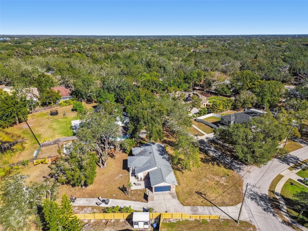 12902 N Howard Avenue Tampa FL 33612 - LAKE FLEUR DE LIS TB8457465 image82