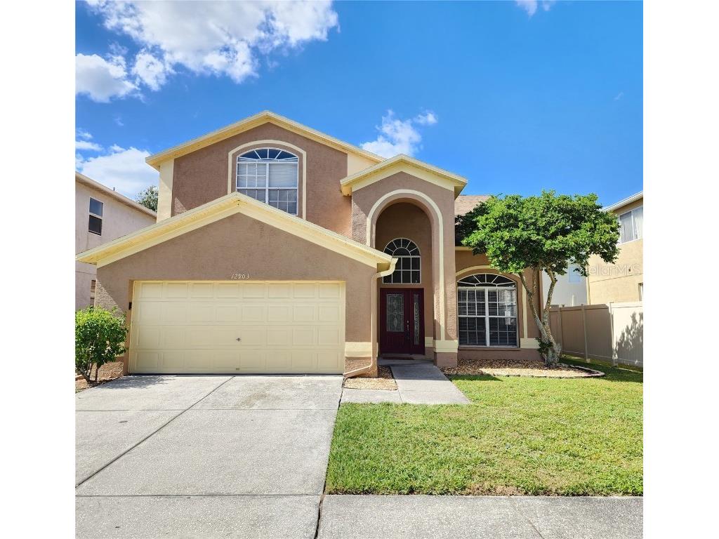 12903 Brant Tree Drive Riverview FL 33579 T3485311 image1