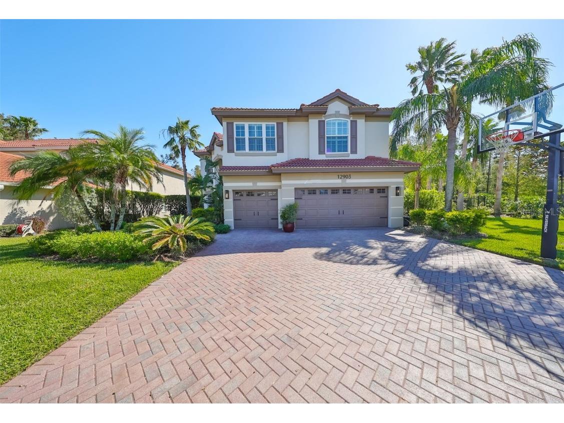 12903 Darby Ridge Drive Tampa FL 33624 TB8338277 image1