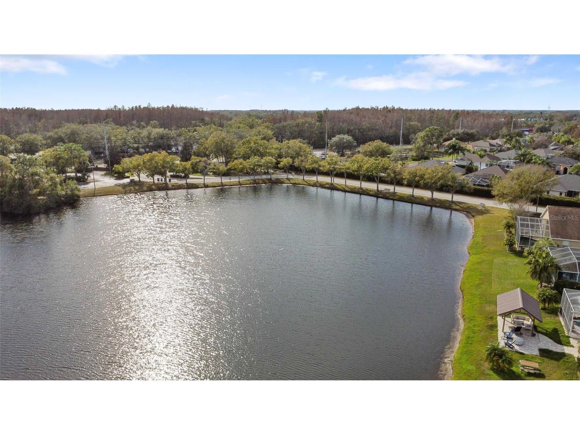 12903 Lake Ventana Drive Tampa FL 33625 TB8464798 image42