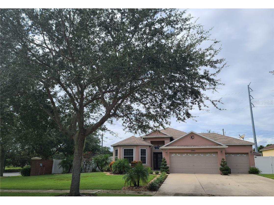 12903 Scout Court Grand Island FL 32735 V4921300 image1