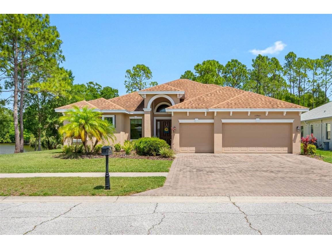 12903 Starling Drive Odessa FL 33556 T3444283 image1