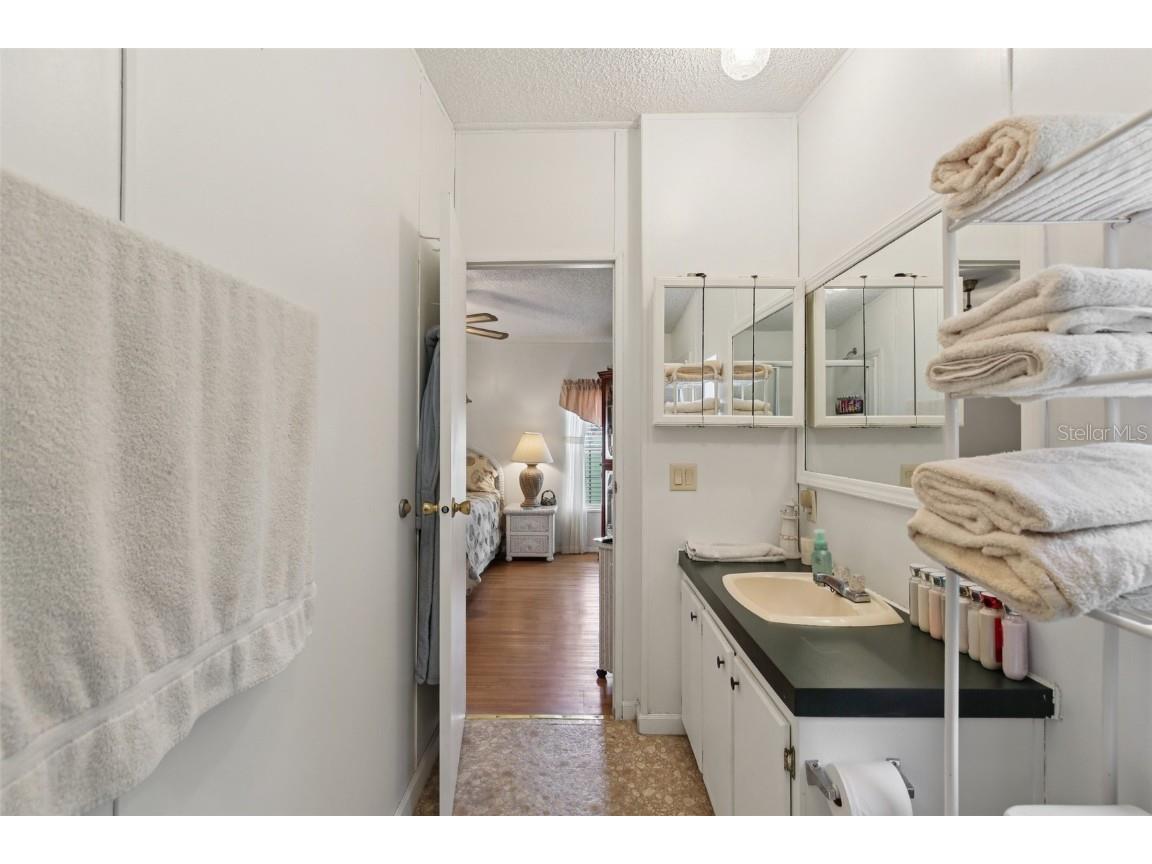 12904 Darla Drive Riverview FL 33579 TB8423347 image19