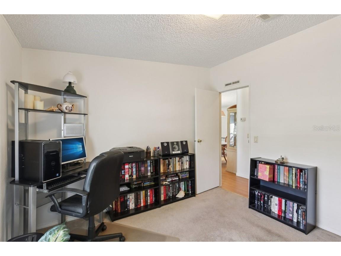 12904 Darla Drive Riverview FL 33579 TB8423347 image27